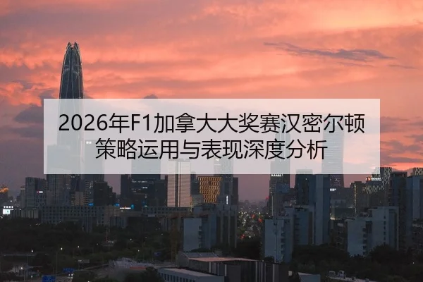 nian-jia-na-da-da-jiang-sai-han-mi-er-dun-ce-lve-yun-yong-yu-biao-xian-shen-du-fen-xi-2-426.jpg