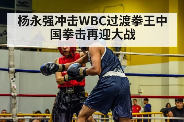 杨永强冲击WBC过渡拳王中国拳击再迎大战
